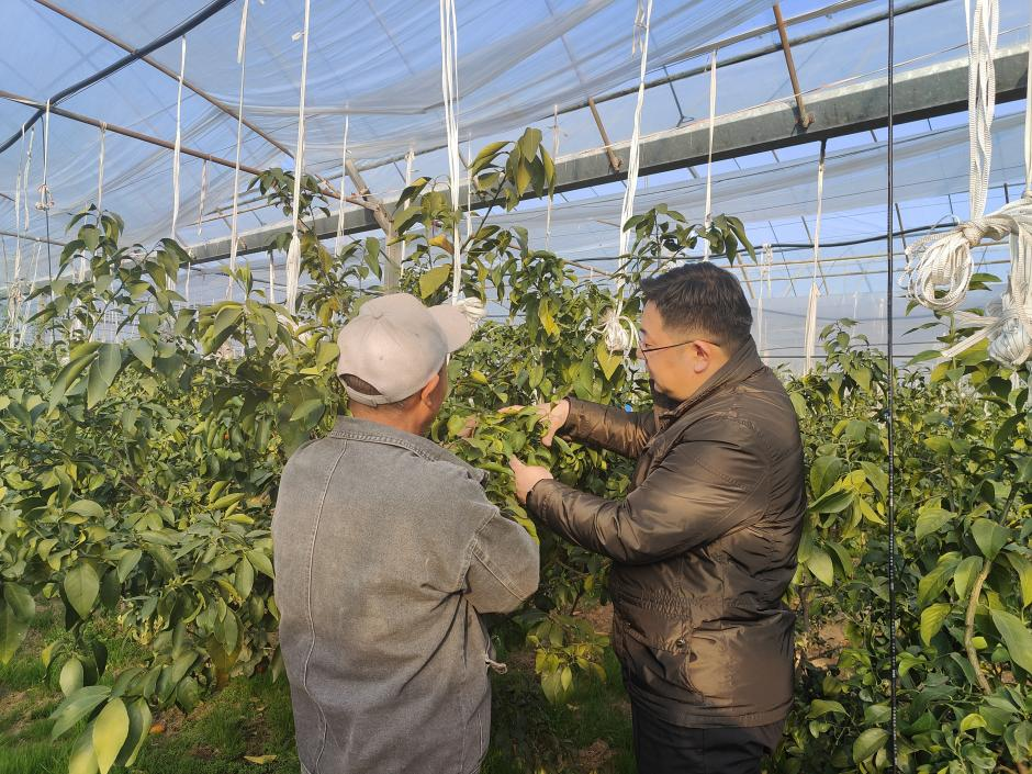 1683180052823005546.png 1.png