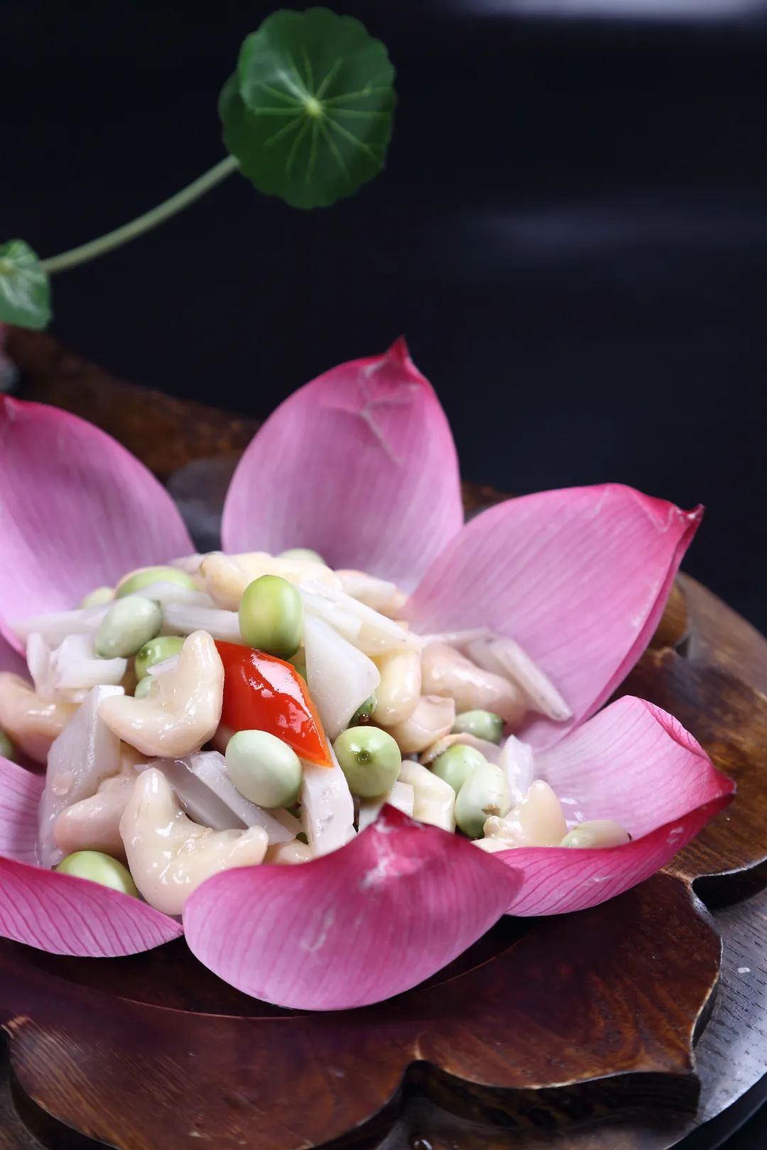 1684826481697082709.jpg 1684826481697082709.jpg